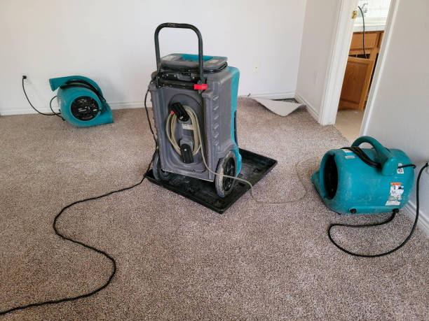 Best 24/7 water damage repair  in Crookston, MN