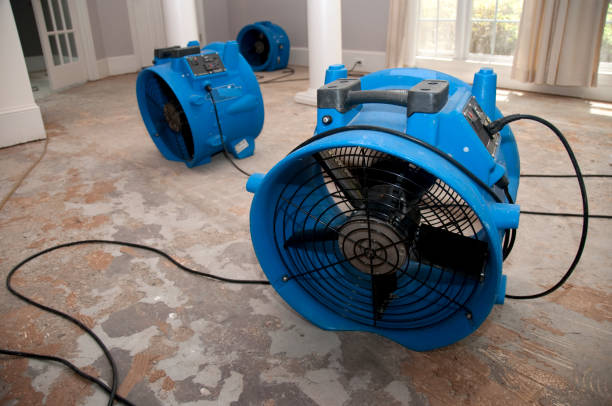 Best Water damage cleanup near me  in Crookston, MN