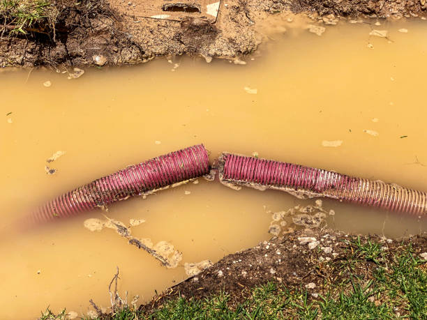 Water damage restoration mold remediation in MN