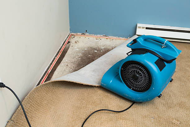 Best Fire Damage Restoration  in Crookston, MN